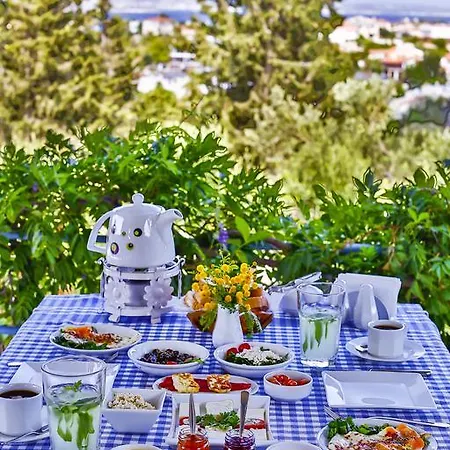 住宿加早餐酒店 Paşalimanı Çeşme