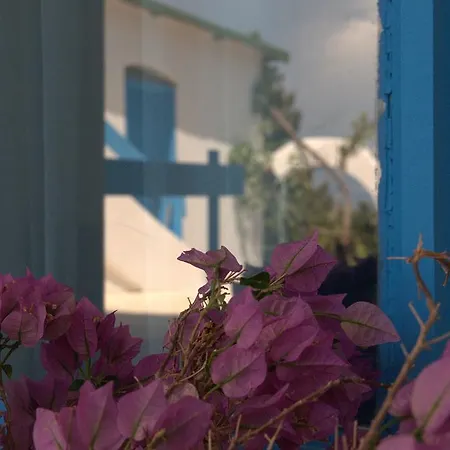 Bed & Breakfast Pasalimani