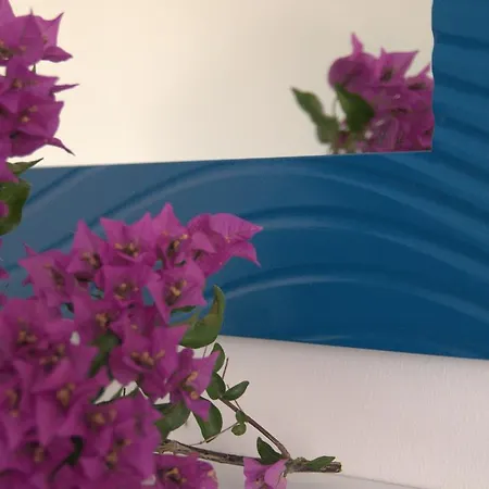 فندق مبيت وإفطار Pasalimani Çeşme