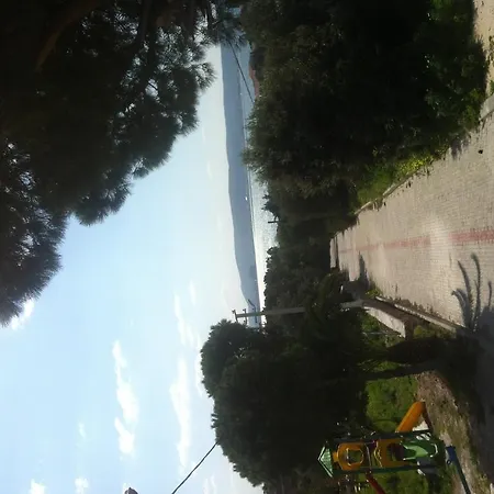 فندق مبيت وإفطار Pasalimani 3*