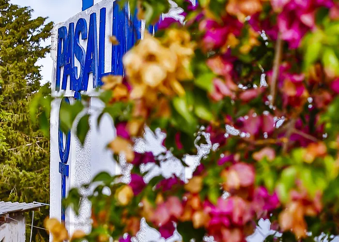 Pasalimani Отель типа 