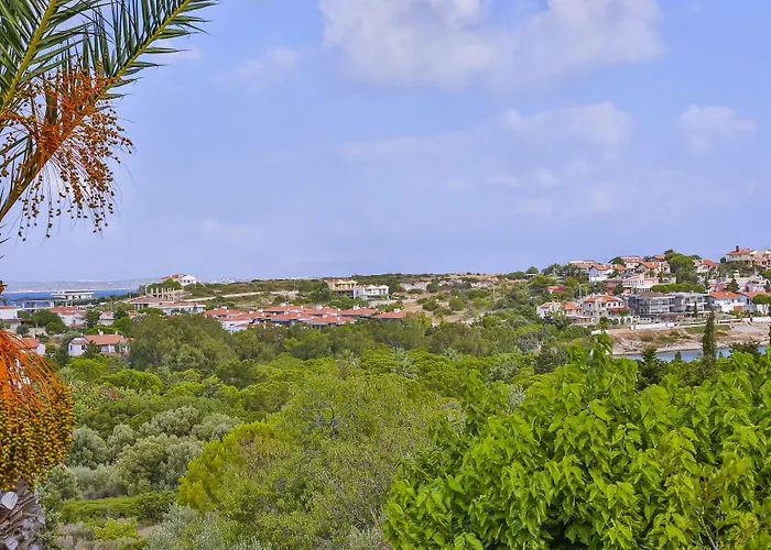 Pasalimani Кешме