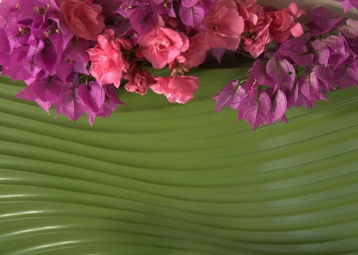 Pasalimani Отель типа 